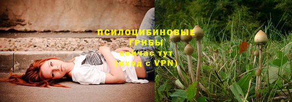 прущие крисы Арсеньев
